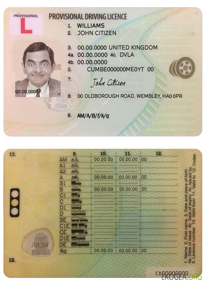 United Kingdom provisional driving license